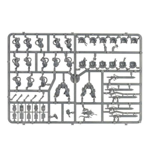 Grey Knights: Brotherhood Terminator Sqad