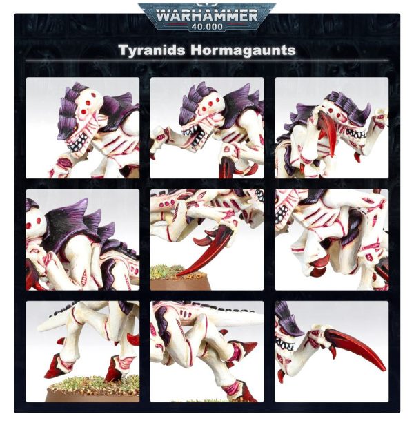 Tyranids: Hormagaunt Brood