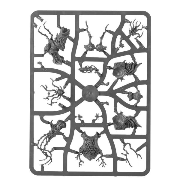Sylvaneth: Revenant Wargrove