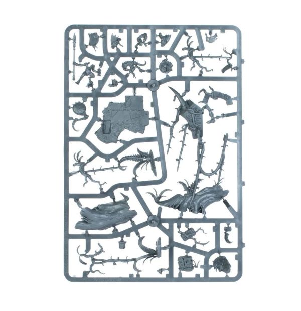 Seraphon Army Set