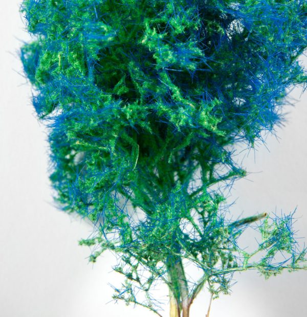 Fantasy Bushes: Blue-Green