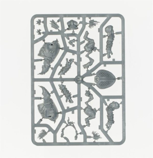 T'au Empire: Kroot Hunting Pack