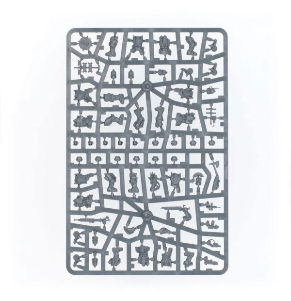 Solar Auxilia: Veletaris Storm Section