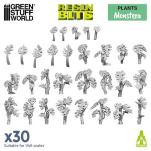 Green Stuff World: Monstera Plant