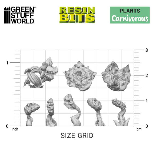 Green Stuff World: Carnivorous Plants