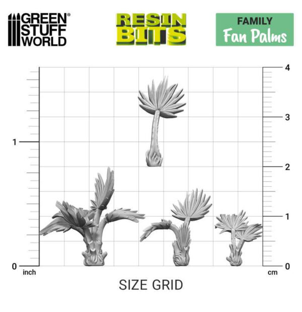 Green Stuff World: Fan Palms